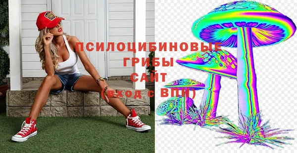 MDMA Premium VHQ Богородицк