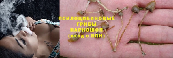 MDMA Premium VHQ Богородицк