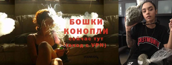 гашиш Богданович