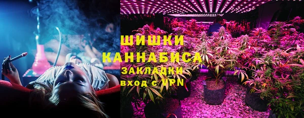 гашиш Богданович