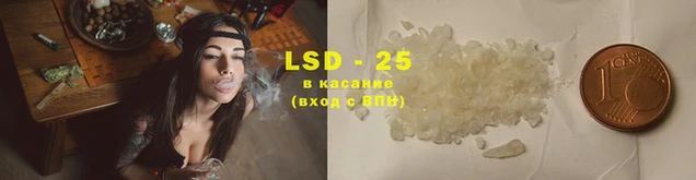 ECSTASY Магадан