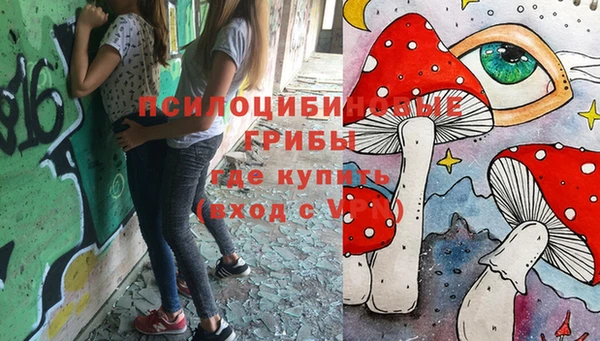 метадон Богородск