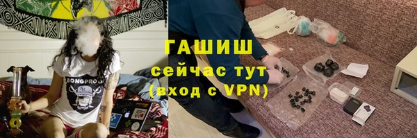 гашиш Богданович