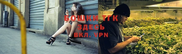 гашиш Богданович