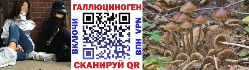 Псилоцибиновые грибы MAGIC MUSHROOMS Пестово